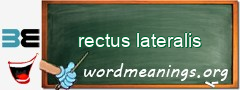 WordMeaning blackboard for rectus lateralis